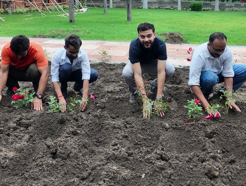 Planting along the campus edge at Birla Open Minds International School, Bhopal