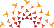 Birla Open Minds International School Bhopal